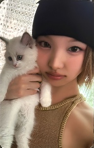 kitten nayeon