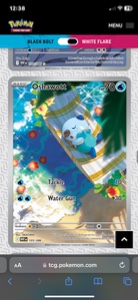 Oshawott IR