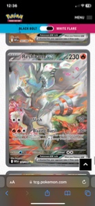 Reshiram SIR