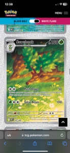 Sawsbuck IR