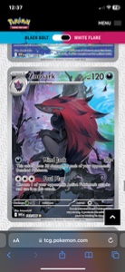 Zoroark IR