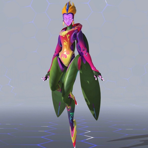 Bird of Paradise