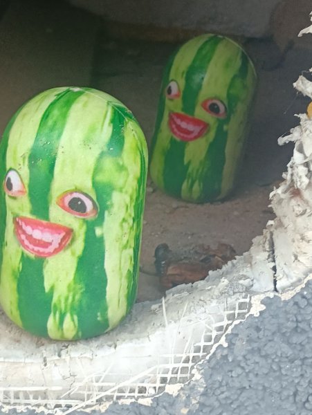 wamtermelloon