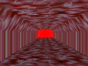 Flesh Tunnels