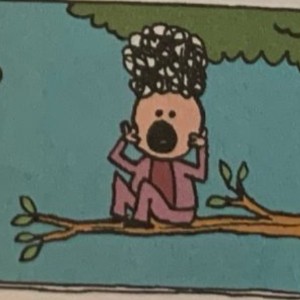 mayor mo
