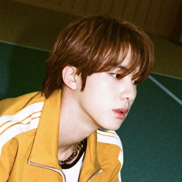 slightly long brown hair jin