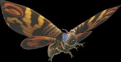 Mothra