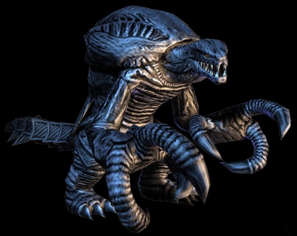 Orga