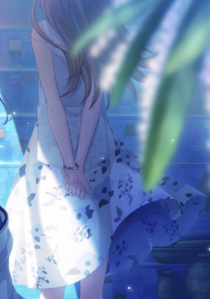 Haruka's Idol