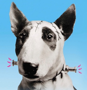 Frankenweenie (1984 live action)