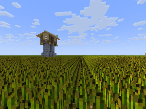 Endless Field