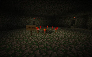 Maze
