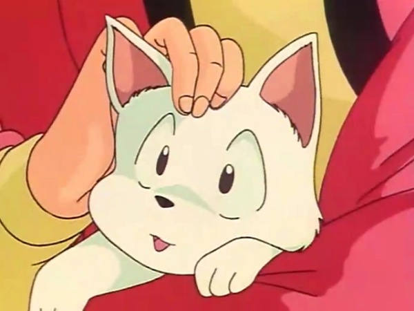 Kyoko (cat)