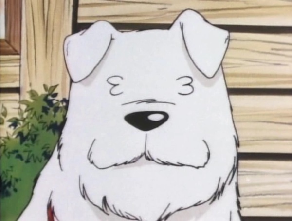 Soichiro Dog