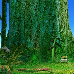 Frog Forest