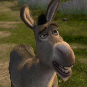 Donkey