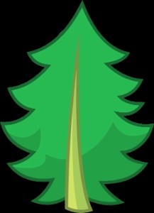 Fern