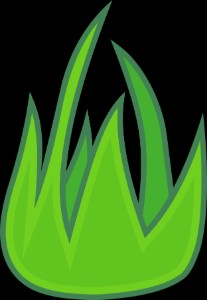 Grassy