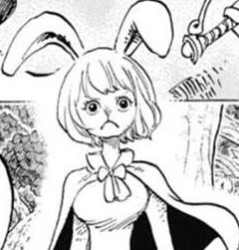 Carrot