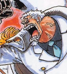 Monkey D. Garp