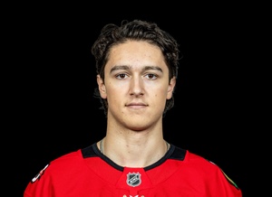 Nick Lardis