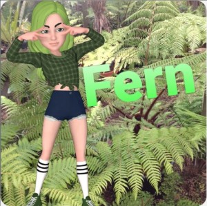 Fern