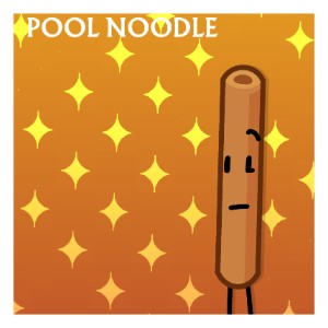 Pool Noodle