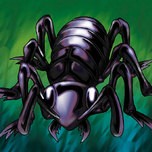 Big Insect