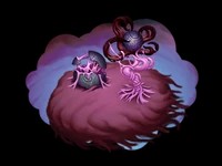 Shadow Islet