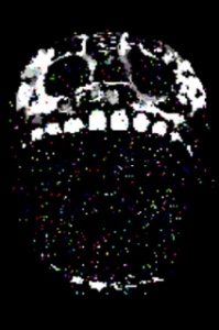 RNIUSHCg==