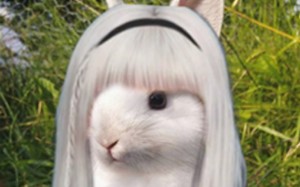 Alice