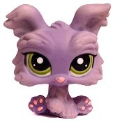 #1611