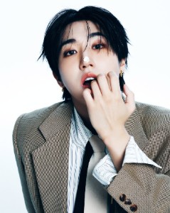 han (stray kids)