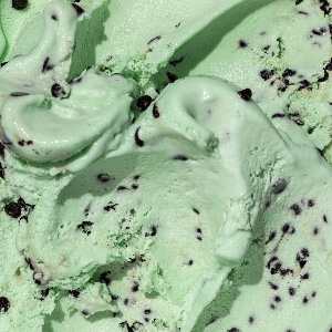 mint chocolate chip