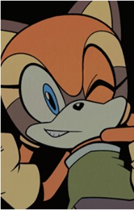 Marine the Raccoon