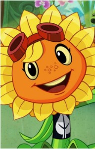 Solar Flare
