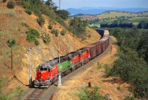CO&P 5041