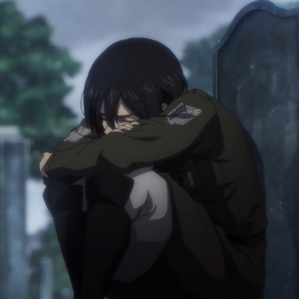 mikasa