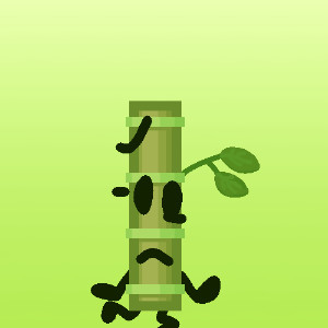 bamboo