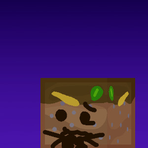 podzol