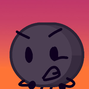 puck