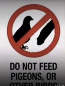 119200