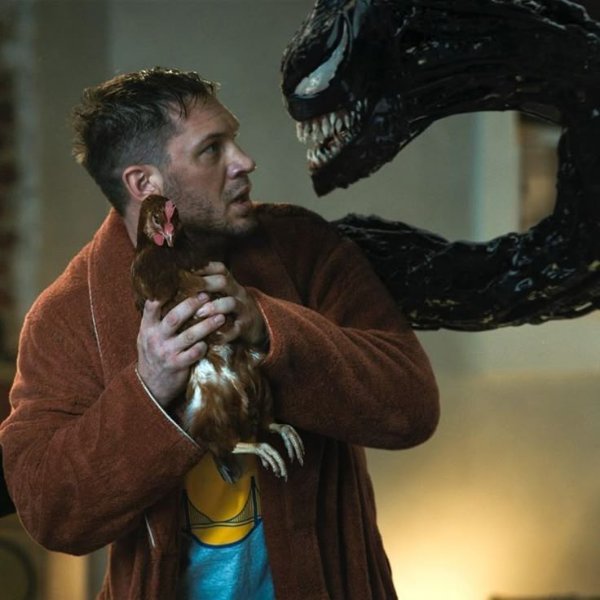 symbrock/eddie x venom symbiote
