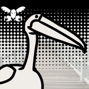Pelican