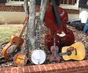 bluegrass