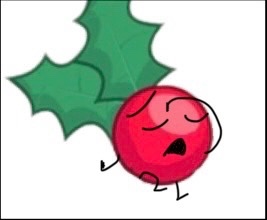 Holly