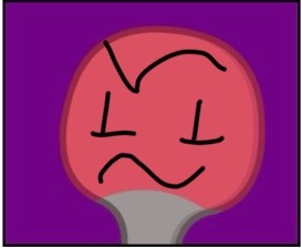 Paddle