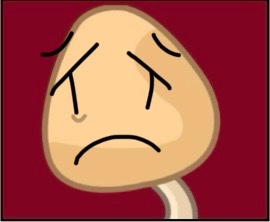 Tan Mushroom