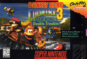 Dkc3_snes_boxart