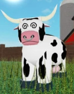 Cows